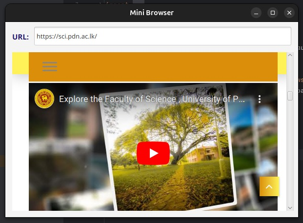 MiniBrowserFX Screenshot